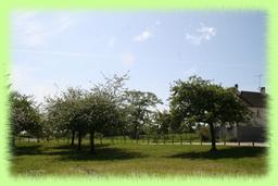 Cliquez pour agrandir l'image