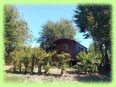 Cliquez pour agrandir l'image